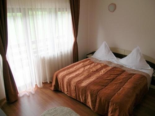 Pensiunea Perla Neamtului - 9