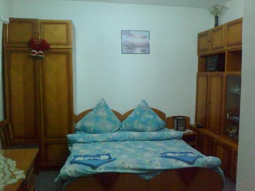 Pensiunea Phoenix Rasinari - 623