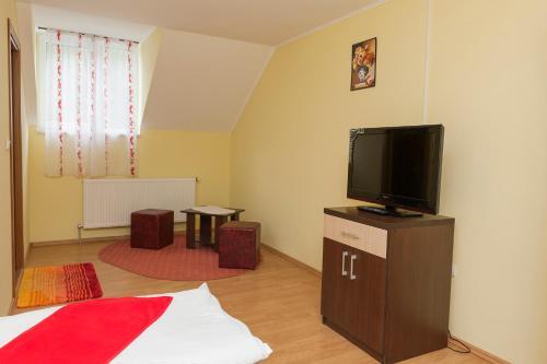 Pensiunea Radu - 601