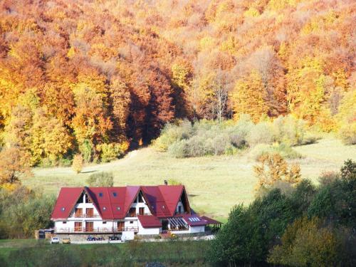 Pensiunea Rasnov - 334