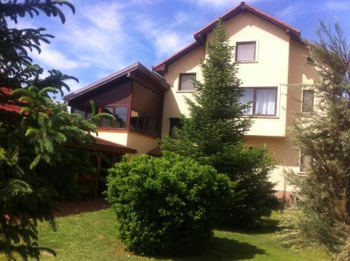 Pensiunea Red Rose Apartments - 673