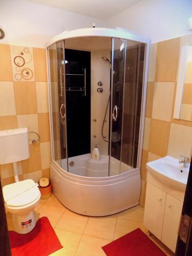 Pensiunea Red Rose Apartments - 463