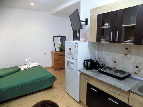 Pensiunea Red Rose Apartments - 313