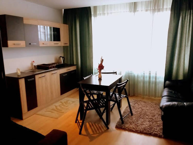 Pensiunea Red Rose Apartments - 823