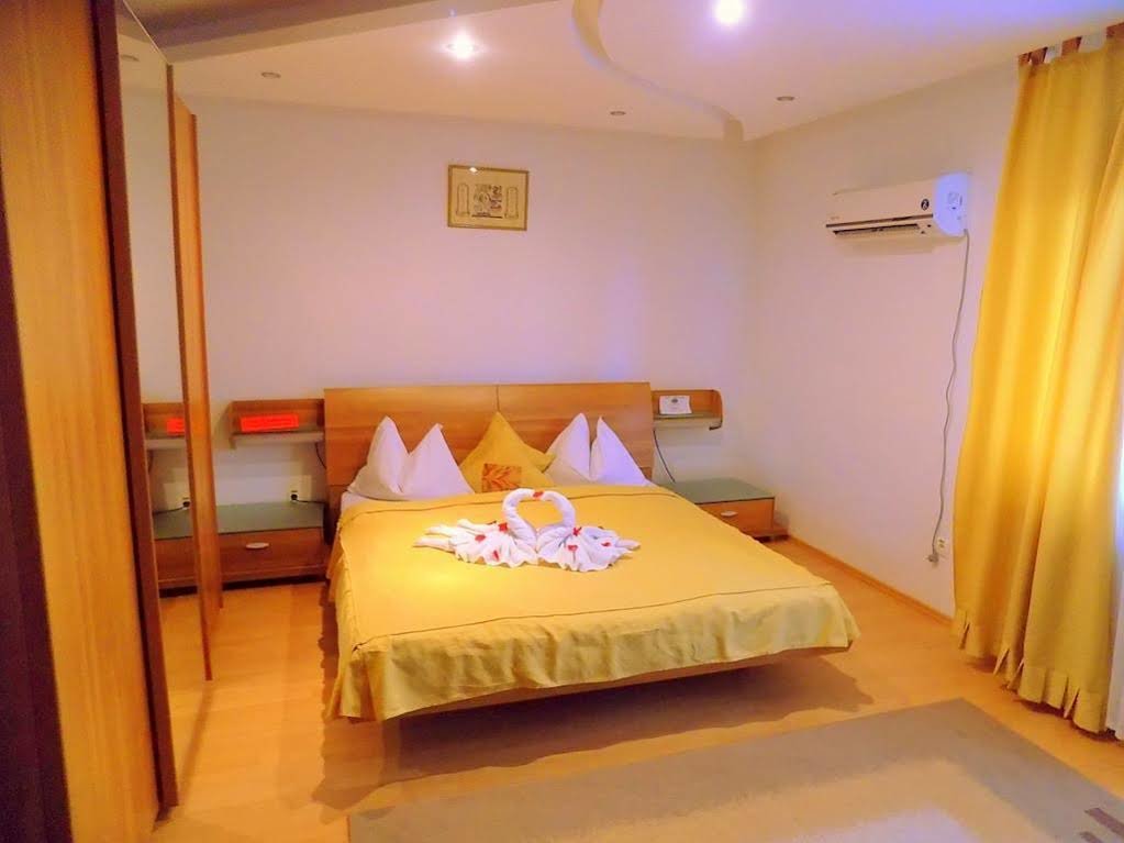 Pensiunea Red Rose Apartments - 187
