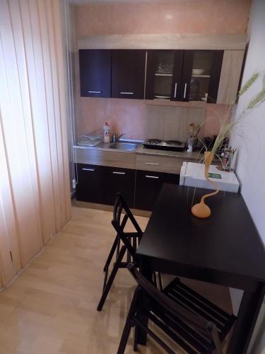 Pensiunea Red Rose Apartments - 927