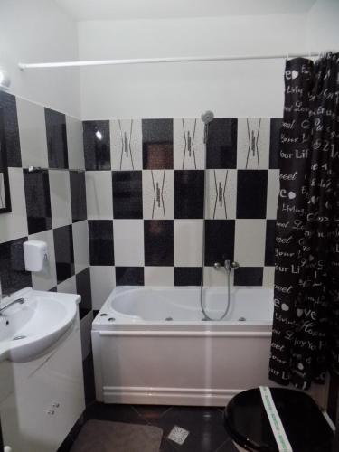 Pensiunea Red Rose Apartments - 749
