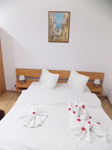 Pensiunea Red Rose Apartments - 115