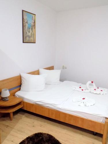 Pensiunea Red Rose Apartments - 699