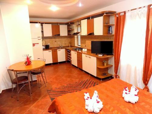 Pensiunea Red Rose Apartments - 358
