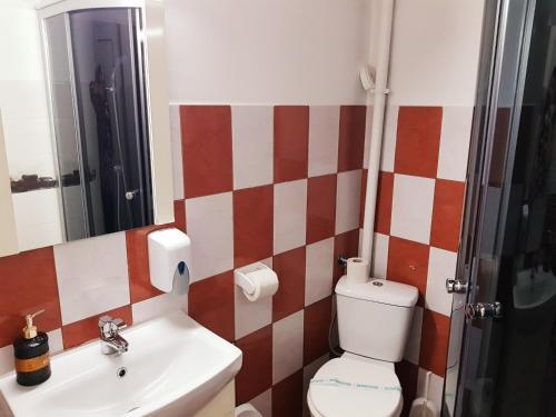 Pensiunea Red Rose Apartments - 366