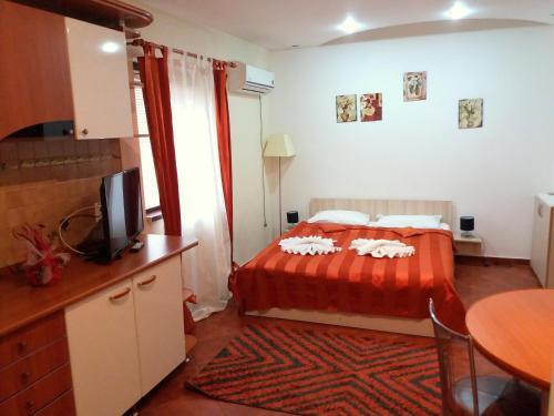 Pensiunea Red Rose Apartments - 648