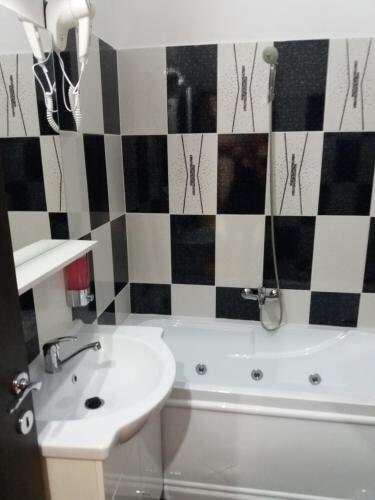 Pensiunea Red Rose Apartments - 859