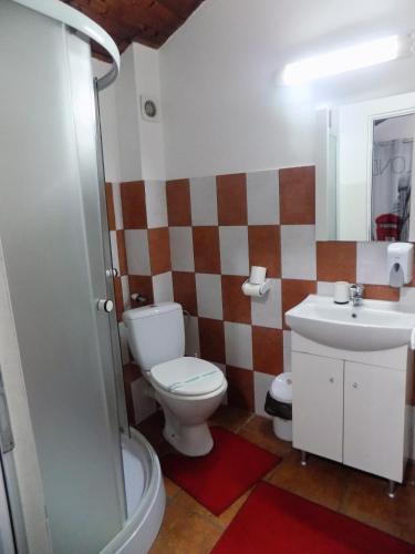 Pensiunea Red Rose Apartments - 692