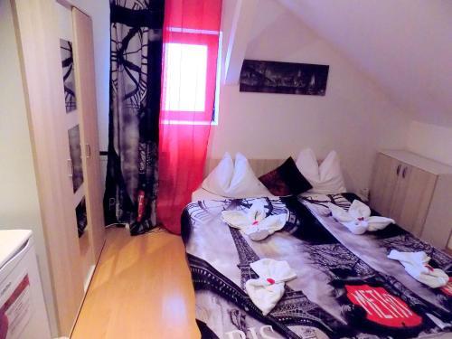 Pensiunea Red Rose Apartments - 561