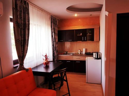 Pensiunea Red Rose Apartments - 752