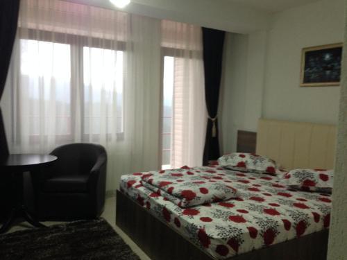 Pensiunea Roka - 226