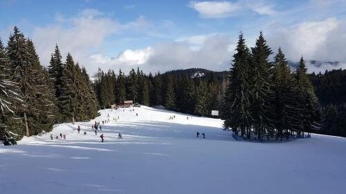 Pensiunea Skiland - 887