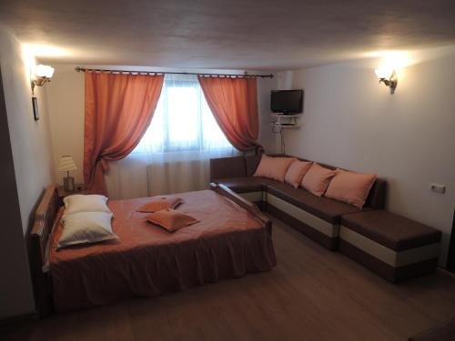 Pension Steaua Ariesului - 439