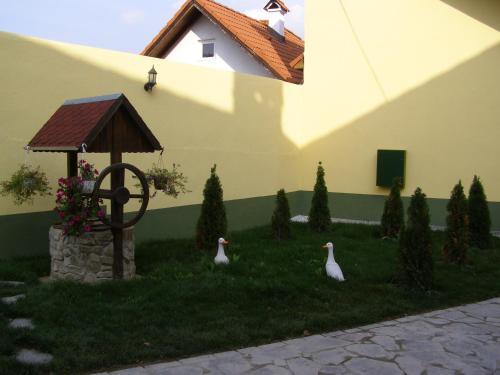 Pensiunea Sub Cetate - 420