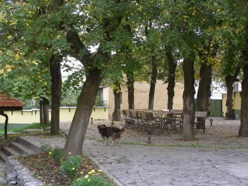 Pensiunea Sub Cetate - 840
