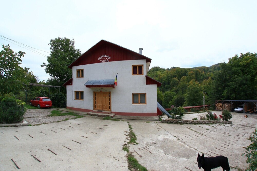 Pensiunea Tara - 663