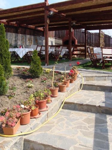 Pensiunea Taverna Bucium - 536