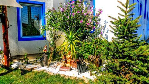 Teo Guest Rooms - 774