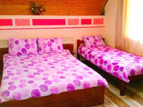 Teo Guest Rooms - 515