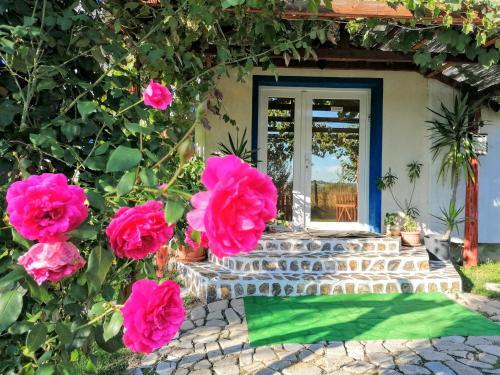 Teo Guest Rooms - 603