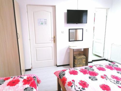 Teo Guest Rooms - 537