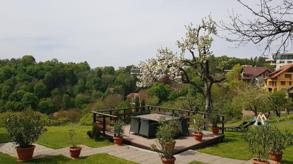 Pensiunea Toscana - 951