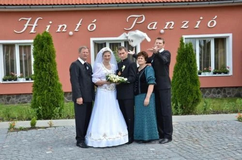 Pensiunea Trasura - Hinto Panzio - 581