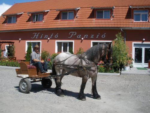 Pensiunea Trasura - Hinto Panzio - 468