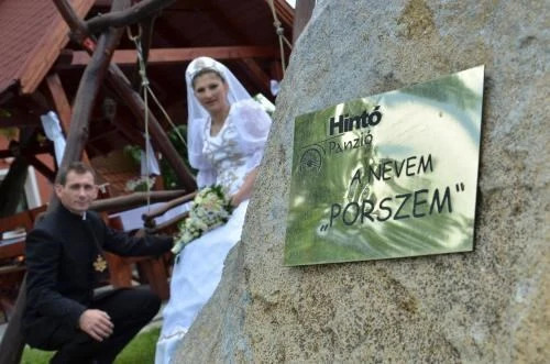 Pensiunea Trasura - Hinto Panzio - 898