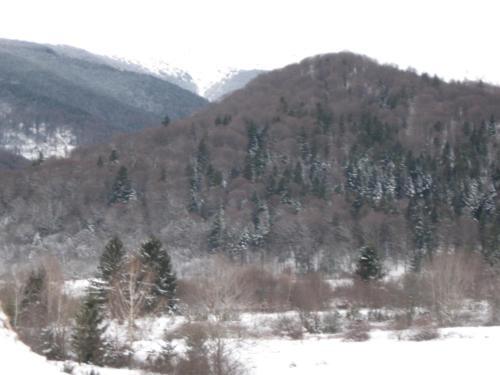 Pensiunea Valceaua Zanelor - 206