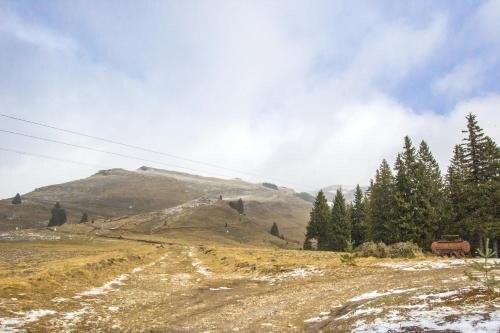 Pensiunea Valea Cocorei - 336