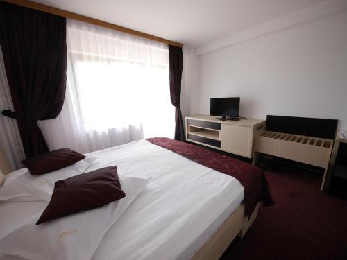 Pensiunea Valea Cocorei - 24