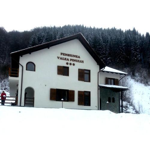 Pensiunea Valea Pinului - 857