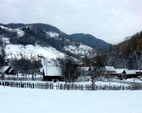 Pensiunea Valea Pinului - 976