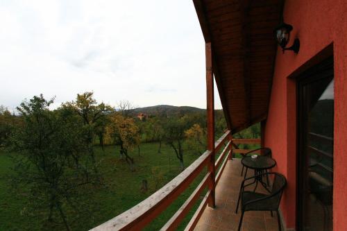 Pensiunea Valea Ursului - 475