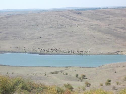 Pensiunea Victoria - 818