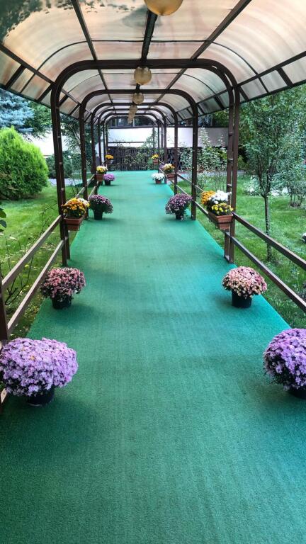 Phoenicia Suites - 497