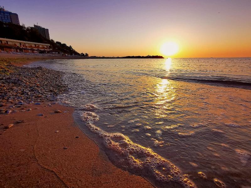 Phoenicia Blue View - 802