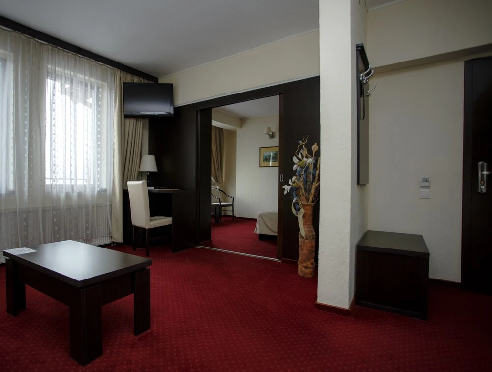 Hotel Piemonte - 919