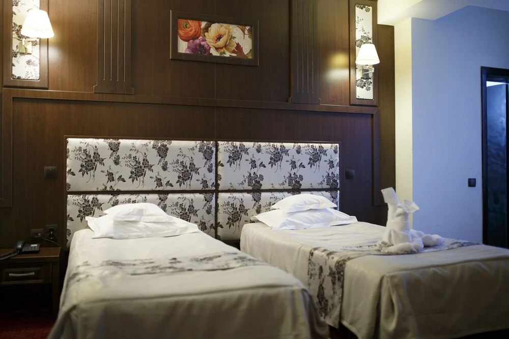 Hotel Piemonte - 575