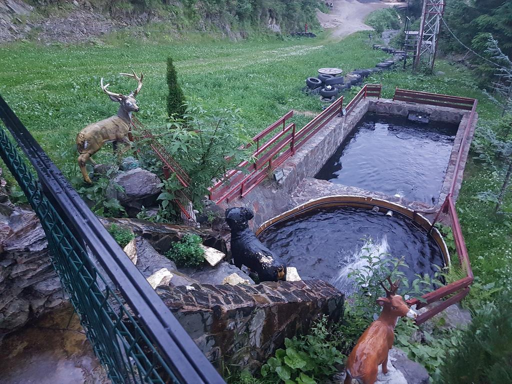 Piscul Negru Hotel - Transfagarasan - 191