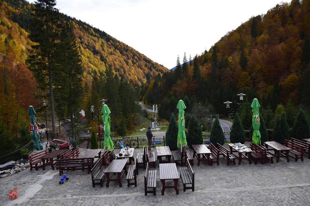 Piscul Negru Hotel - Transfagarasan - 109