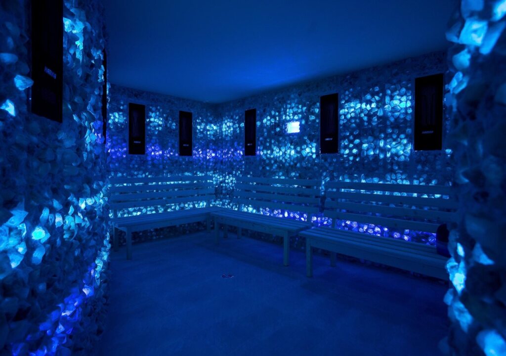 Pleiada Boutique Hotel And Spa - 542