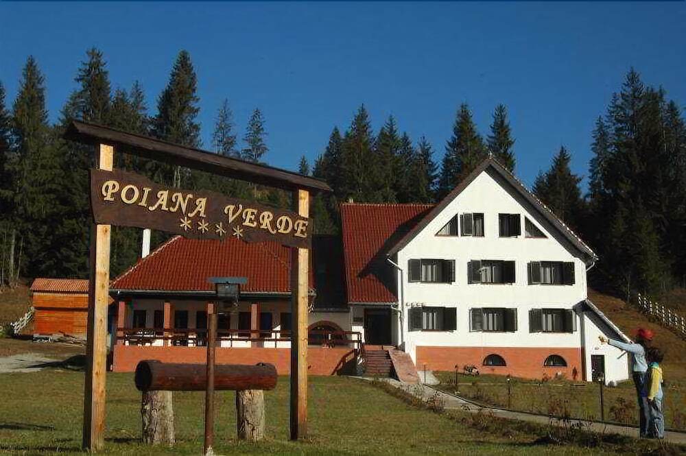 Poiana Verde - 459